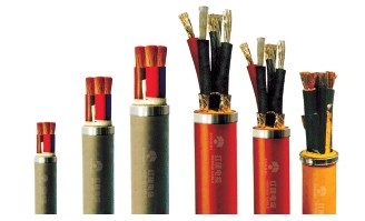 1547190880977811.jpg 1.jpg